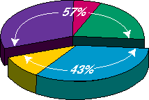 Pie Chart